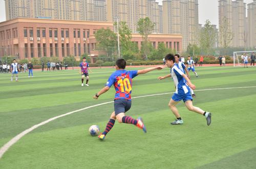 奋力抢球 奋力抢球